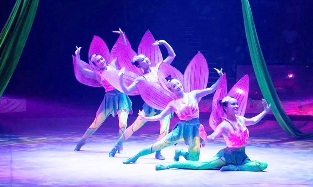 Vietnamese circus triumphs on international stage